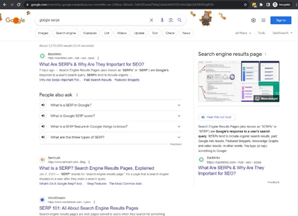 Google Search Engine Results Page Example